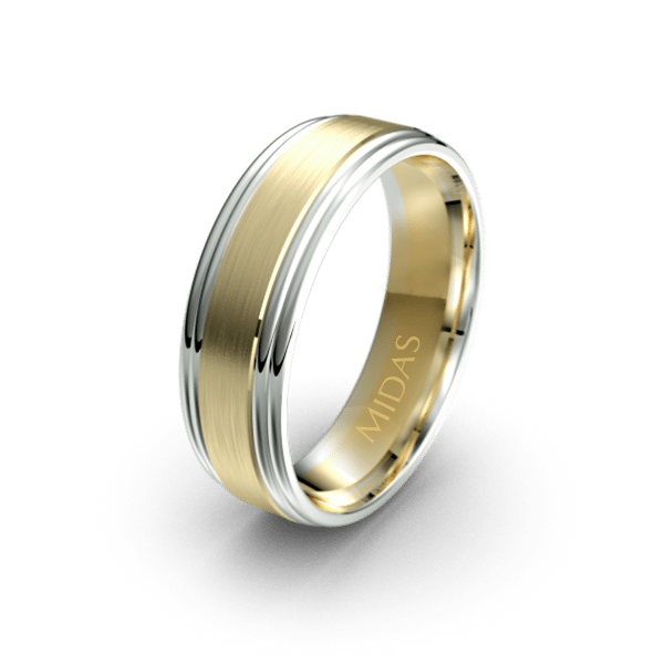 Polished Ring with Double Tiered Borders (QF1402)