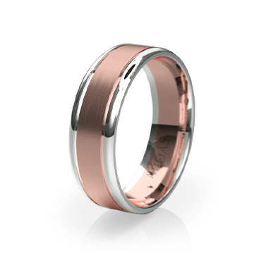 Brushed Ring with Polished Borders (QF1023)