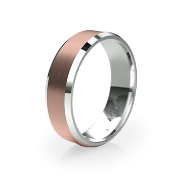 Traditional Bevelled Edged Ring (QF1382)