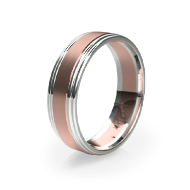 Polished Ring with Double Tiered Borders (QF1402)